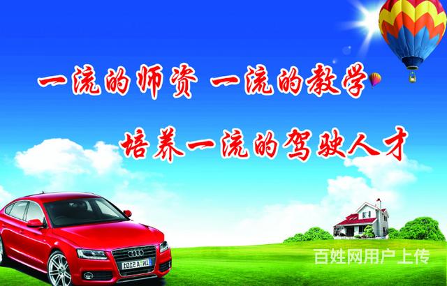 驾校报名电话